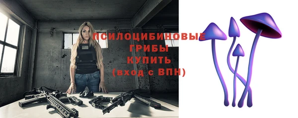 шишки Нефтекумск