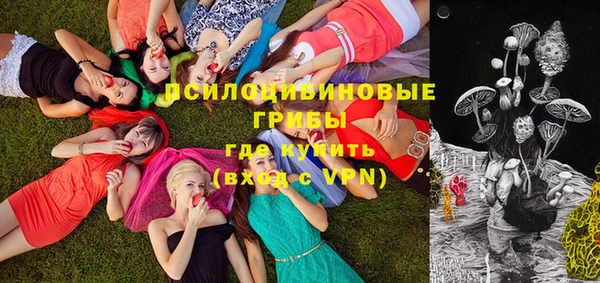 mdpv Нея