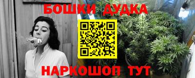 индика Канаш