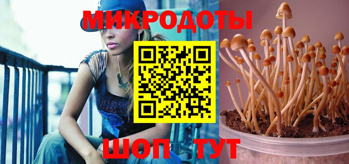 Галлюциногенные грибы мухоморы Химки