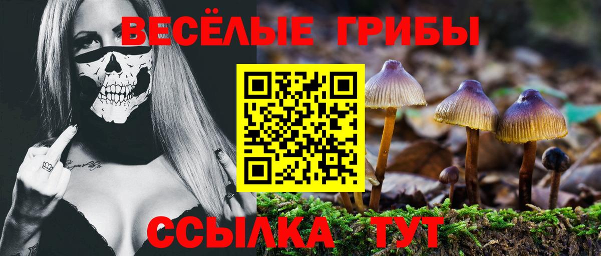 Химки  Галлюциногенные грибы мухоморы  Вход с VPN  Псилоцибиновые грибы Psilocybe 
