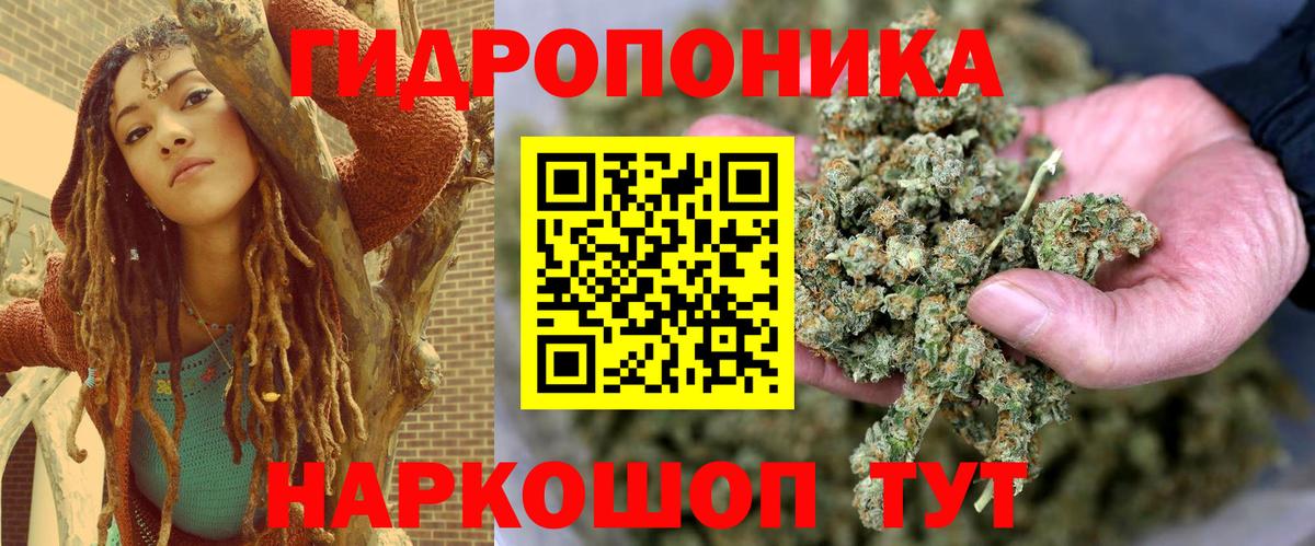 Конопля THC 21%  Марихуана тримм  Химки  Вход с VPN  Бошки Шишки OG Kush 